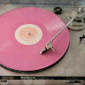 Meet your Posher, Sandy